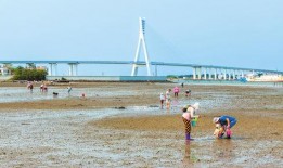 海南赶海爆料网站大全最新,探索海滩的秘密宝藏